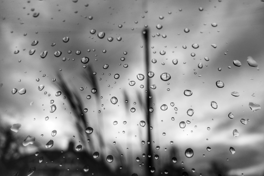 Raindrops by mattjcuk