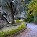 The path along the Ashley River, Magnolia Gardens, Charleston, SC by congaree