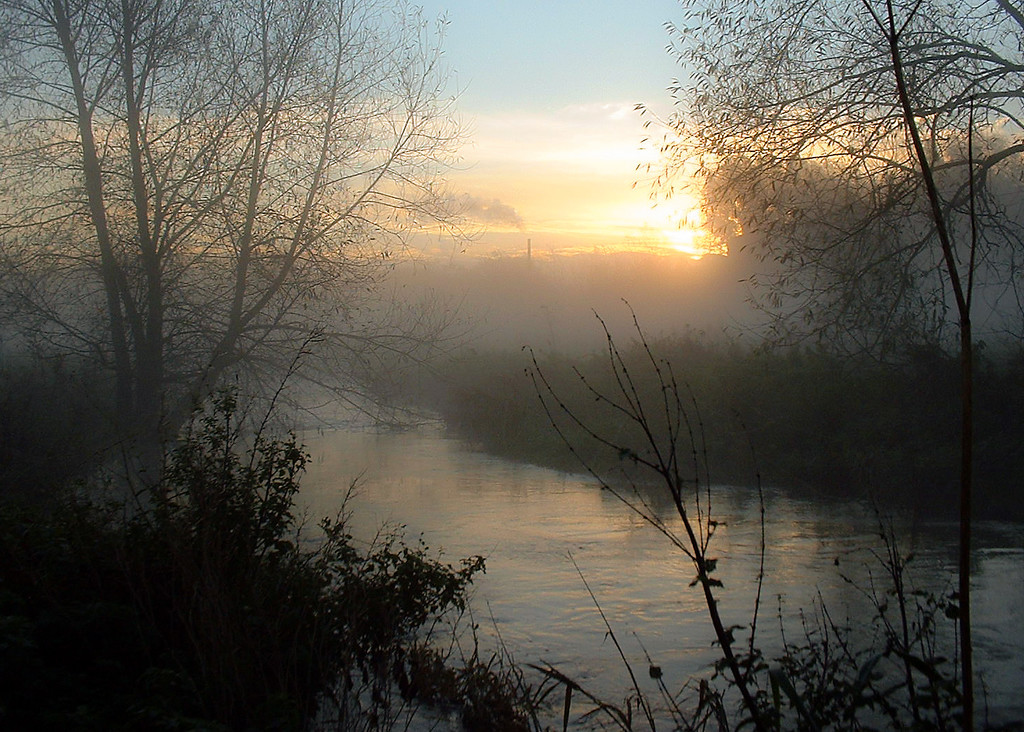 Misty Morning..... by shepherdmanswife