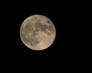 7th Nov 2014 - Moon with 7D Mk II