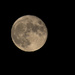Moon with 7D Mk II by leonbuys83