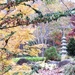 Largest Japanese garden in the nation by margonaut