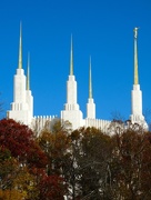 7th Nov 2014 - Washington D.C. Temple