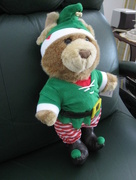 8th Nov 2014 - RACQ Careflight Elf-Bear