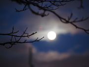 6th Nov 2014 - Morning Moon