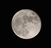 7th Nov 2014 - Rising Moon
