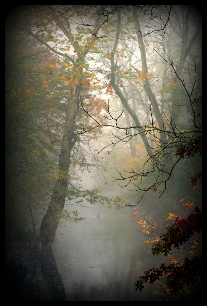 Morning Mist by digitalrn