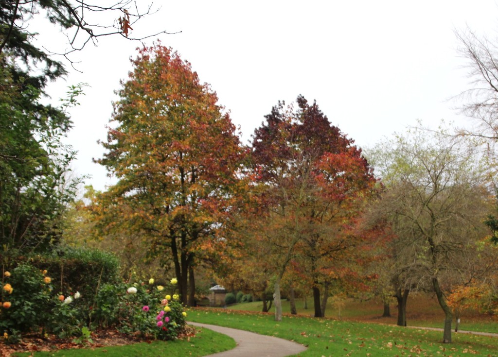 Autumn in the Arboretum by oldjosh