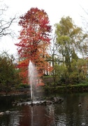 6th Nov 2014 - Fountain in the Arboretum