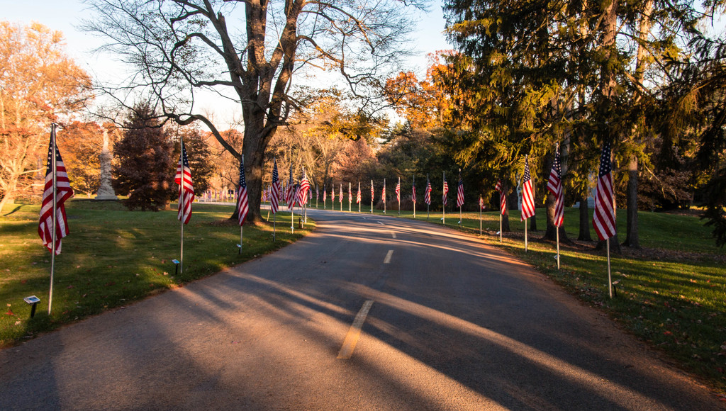 Spring Grove Cemetery Veteran's Day by cdonohoue