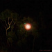 Lunar Serengeti by jrambo001