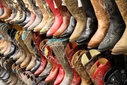 6th Nov 2014 - Cowboy Boots