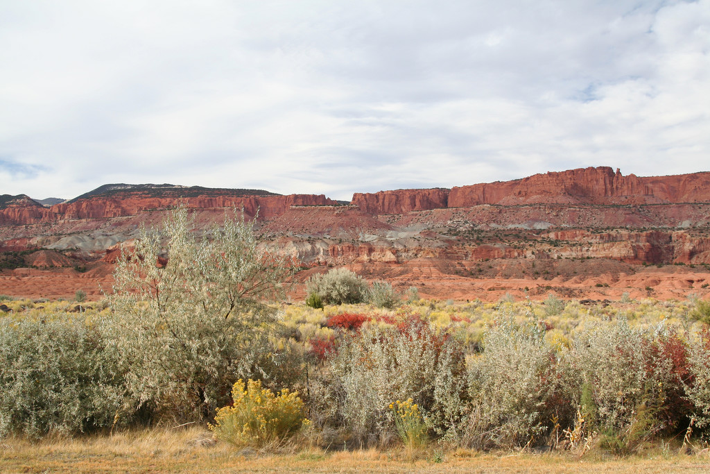 Looking toward Capital Reef National Park by tosee