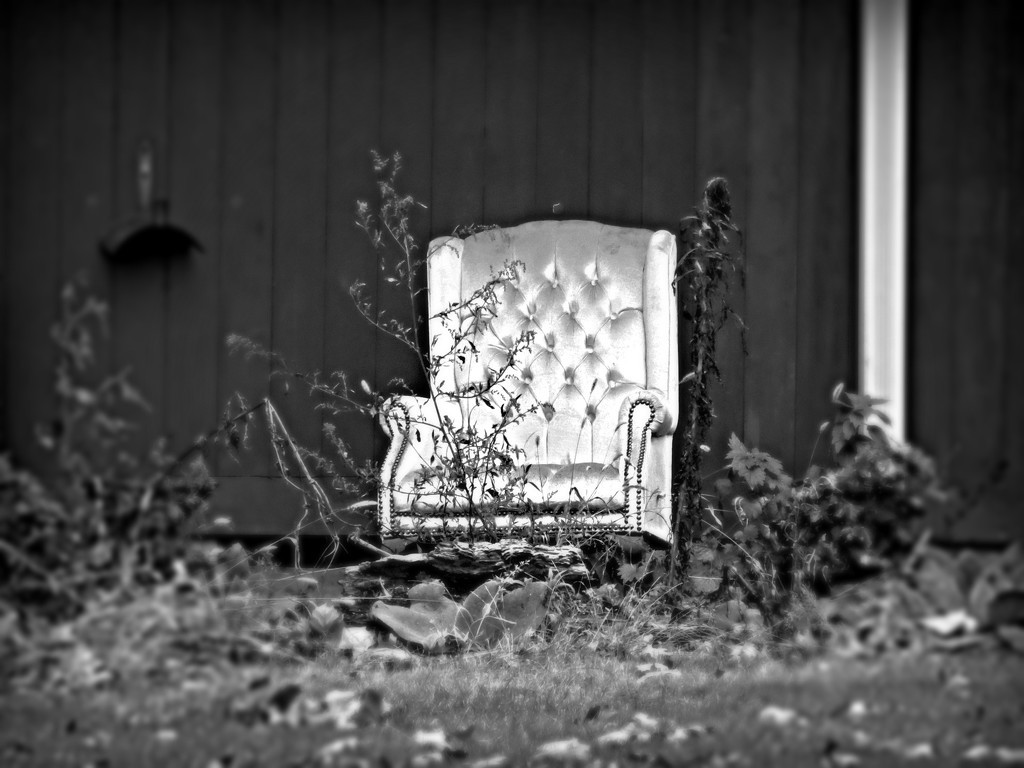 Lawn.  Chair. by juliedduncan