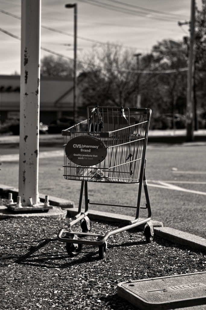Abandoned Cart by kannafoot