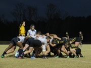 8th Nov 2014 - Rugby