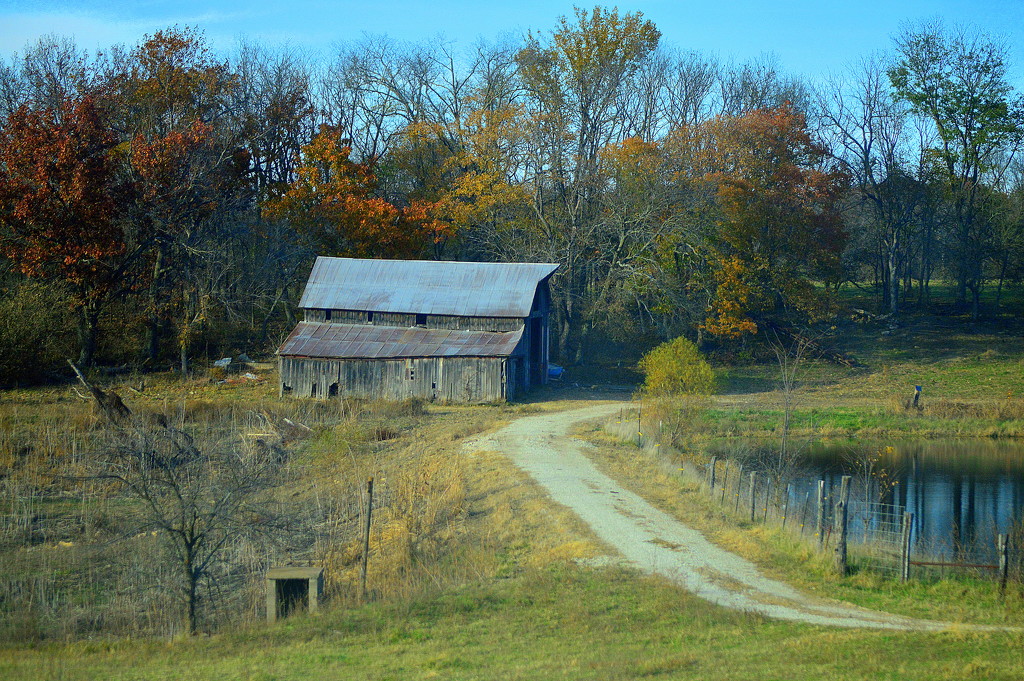 Kansas Farm by kareenking