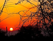 1st Nov 2014 - Sunset at Kruger