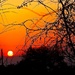 Sunset at Kruger by redy4et