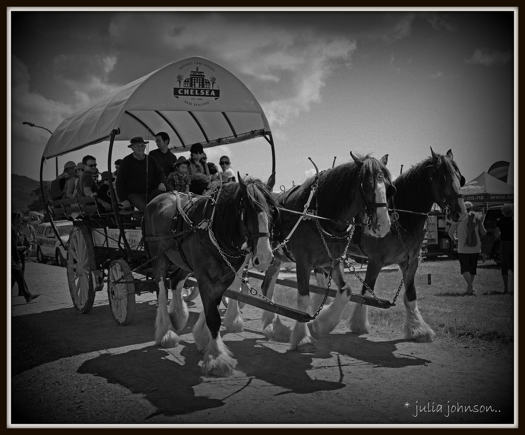 Clydesdale cart. by julzmaioro