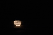 8th Nov 2014 - I see a bad moon rising