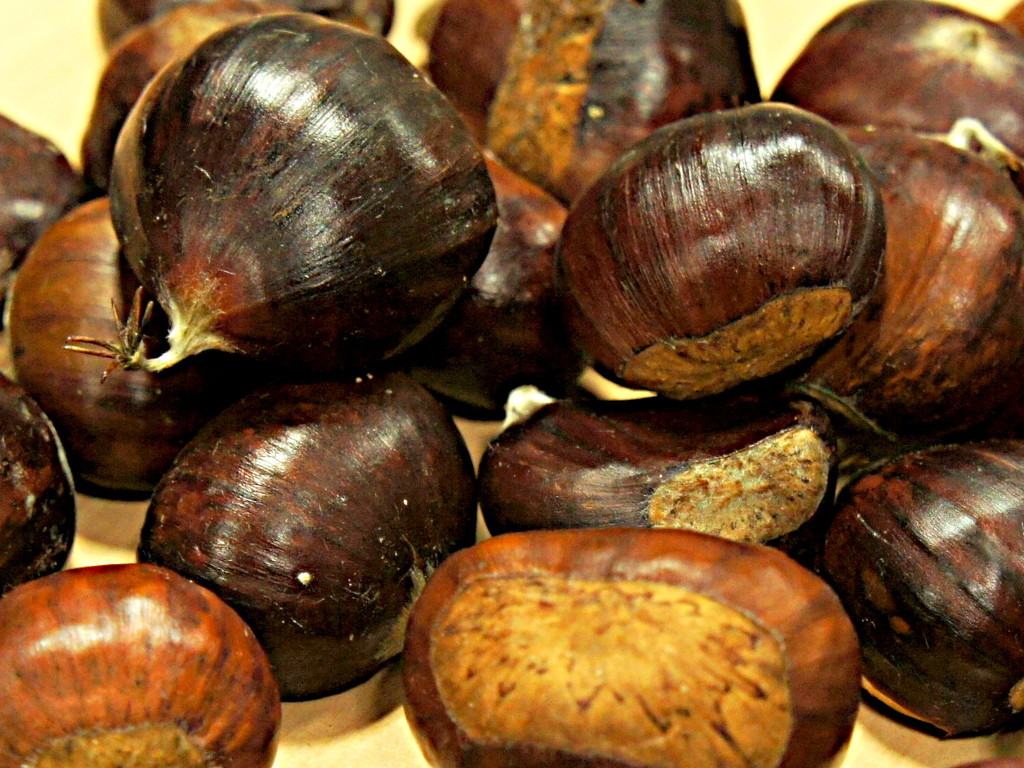 Chestnuts up close by boxplayer