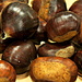 Chestnuts up close by boxplayer