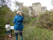 2nd Nov 2014 - A trip out to Croft castle....