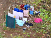 30th Oct 2014 - Colours on the Clothesline