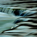 Water in the creek by jayberg