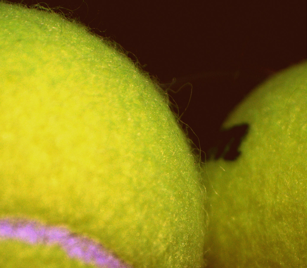 Day 311:  Tennis Ball by sheilalorson