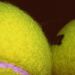 Day 311:  Tennis Ball by sheilalorson