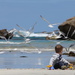 B day - Boy Beach Bucket & Birds by gilbertwood