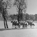 Lake of the Isles Bridle Path- circa 1945 by tosee