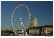 10th Nov 2014 - London Eye