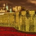 141110 - London (Tower of London) by bob65