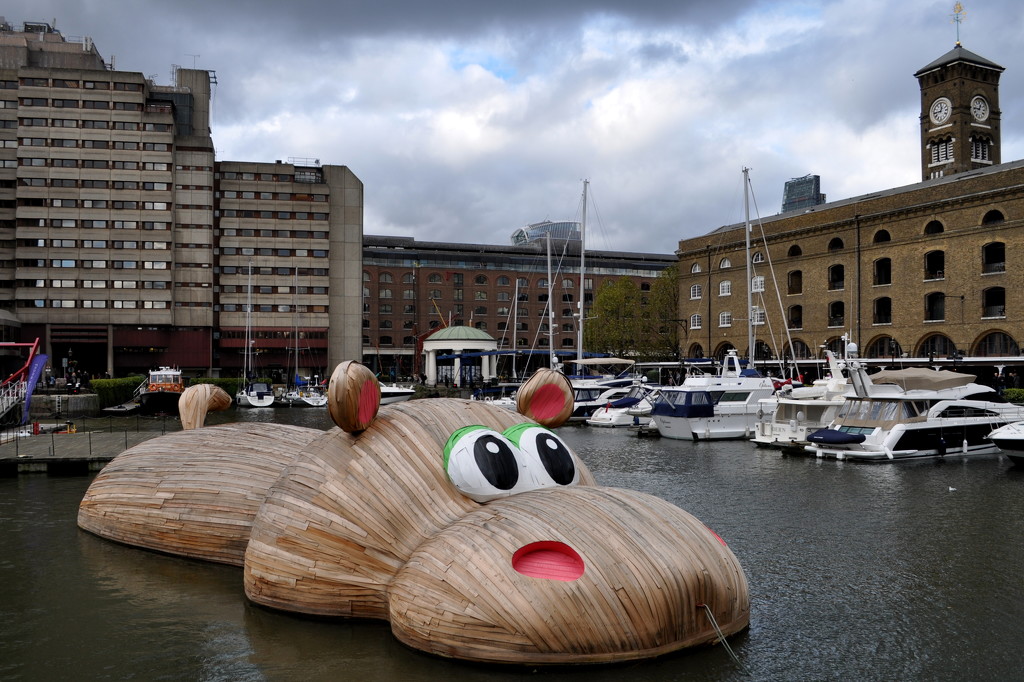 HippopoThames by andycoleborn