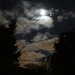 Moon Lit by brillomick