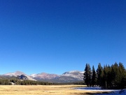 9th Nov 2014 - Tuolumne Meadows after first snow