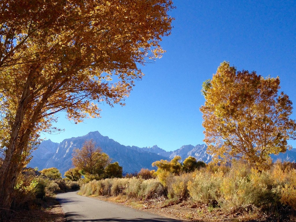 A road to Mt Whitney redolent with the scent of sage brush by peterdegraaff