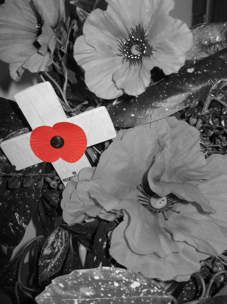 We will remember them by angelar