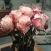 Love roses by sarah19