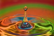 11th Nov 2014 - One More Water Drop