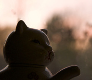 10th Nov 2014 - Cat on Window Sill at Evening