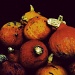 pumpkins by iiwi
