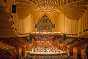 10th Nov 2014 - Concert Hall
