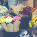 Flower Stall  by nicolecampbell