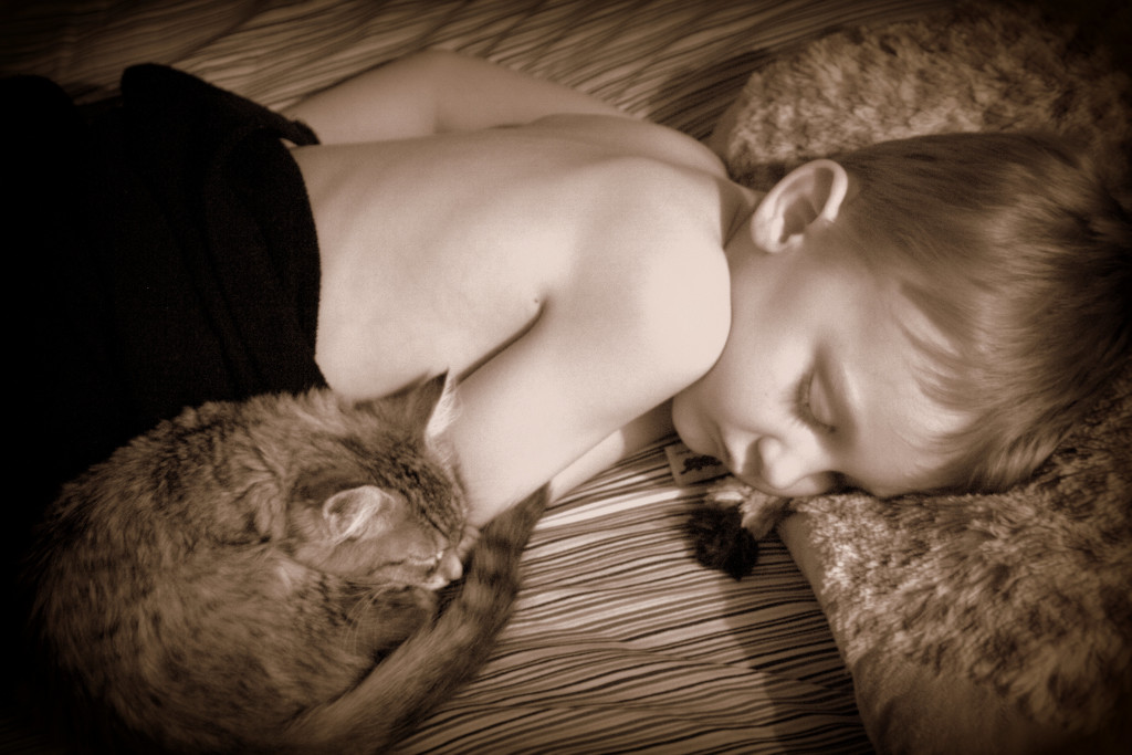 Day 315:  Let Sleeping Kids and Kittens Lie by sheilalorson