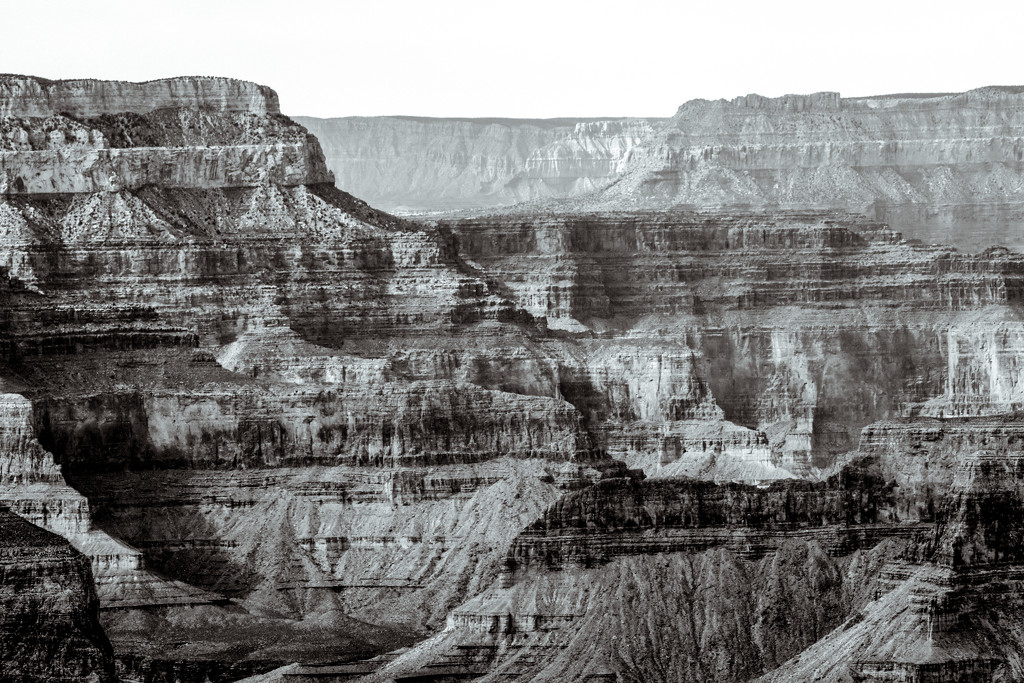 Grand Canyon 2011 by danette