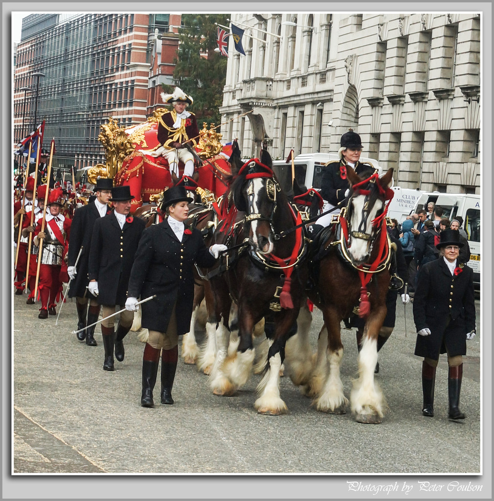 Lord Mayor's Coach (Horses) by pcoulson
